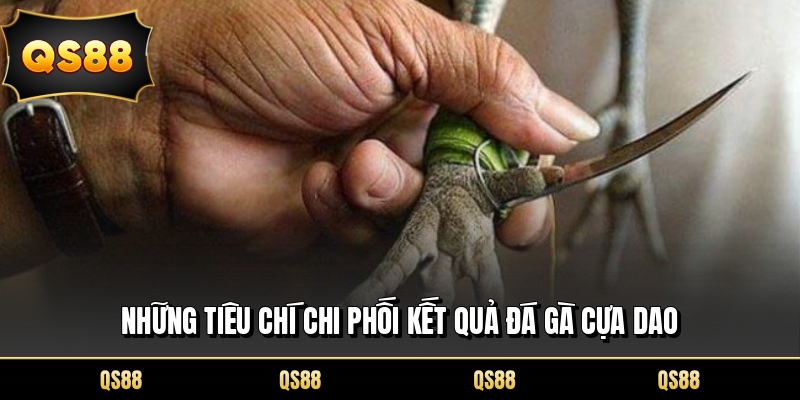 Những tiêu chí chi phối kết quả đá gà cựa dao